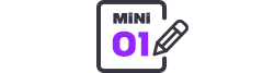 MINI 01